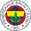 Fenerbahçe Token icon