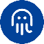Octopus Network icon