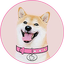 DogeGF icon