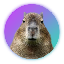 CAPYBARA icon