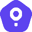 GoGoPool icon