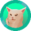 SMUDGE CAT icon