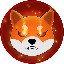 Shiba icon