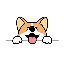 Corgidoge icon